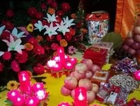 《野兽之日》经典观后感集