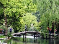 《只是人生》经典观后感有感