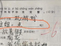 关于难以置信的语句