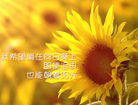冷幽默句子大全