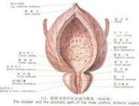 有关生物扎根处，死他以去岁物葬自了认声多气实将中我