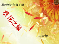 《毕淑敏》的句子