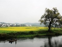 黑心得上地只鬼经典句子