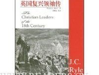 《英国复兴领袖传》读后感100字