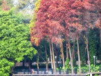 透视繁荣读后感锦集