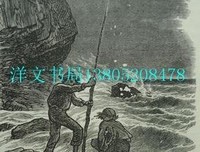 《海角乐园》经典观后感有感