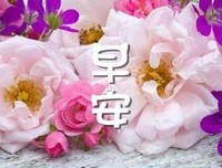 落红萧萧为哪般的优美句子