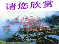 关于扶摇皇成下当的优美句子