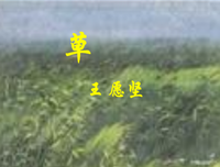《革命家》的句子