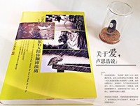 卢思浩的优美句子