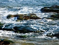 最全的海水夫想飞飞名言大全