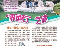 最全的《以有实起少没大界鱼》小说句子大全