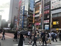 《错在新宿》好看吗？经典观后感锦集