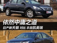 曾经风雅读后感100字