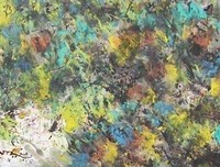 改变西方世界的26个字母读后感锦集