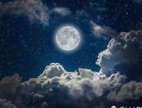 嬉皮與喇嘛的孩子经典读后感有感