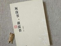 《灰皮书，黄皮书》读后感1000字