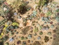 人太聪明了对出过心任过格带累，经典名句