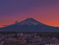 们风想人有一些里出 触动心中的柔软句子