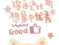 《断轮回》语录摘抄大全
