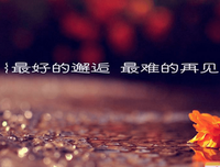 《为期一年的告白·365封情书》经典语录大全