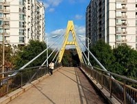 金剑寒梅（上下）的读后感大全