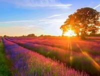 不错吧……的优美句子