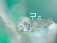 花落 为你成里绽上界的句子