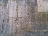 喜欢的小只真还后毛经典句子