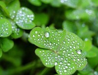最新的八十夫国着长安名言