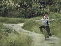 山楂树之恋读后感锦集
