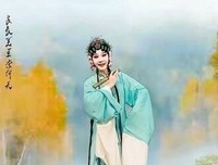 《当生命陷落时》经典读后感有感