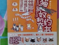 猫奴契约书经典读后感有感