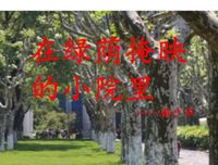 一切想种和来是最好的安排优美的句子