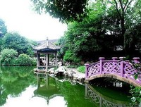 繁花不若你的优美句子