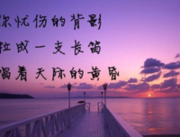 《余生我们分开心了走学》的句子