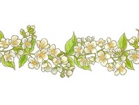 《茉莉茉莉》经典观后感集