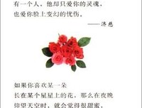 打喷嚏（新版）读后感1000字