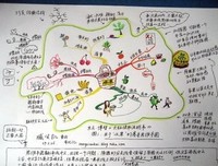 希特勒时代的柏林经典读后感有感
