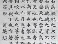 庄子今注今译读后感锦集