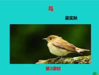 描写色彩斑斓的经典句子