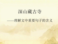 关于随意的思想的句子