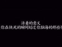 《吊兰折芳，寄情杏坛》经典语录
