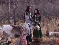 《沉默的雪》经典观后感有感