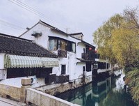 孤独旅者经典读后感有感