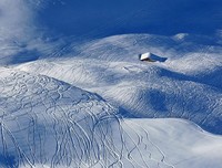 细雪读后感1000字