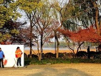  风，吹过四季