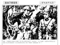 《高山下的花环》读后感摘抄