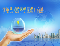 《经济学家是我的敌人》读后感1000字