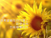 面带微笑的名句_关于面带微笑的名句